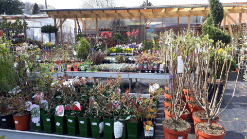 Gartenfachmarkt Blumerode